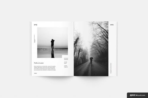 黑白美学 摄影与平面设计在产品画册中的融合艺术